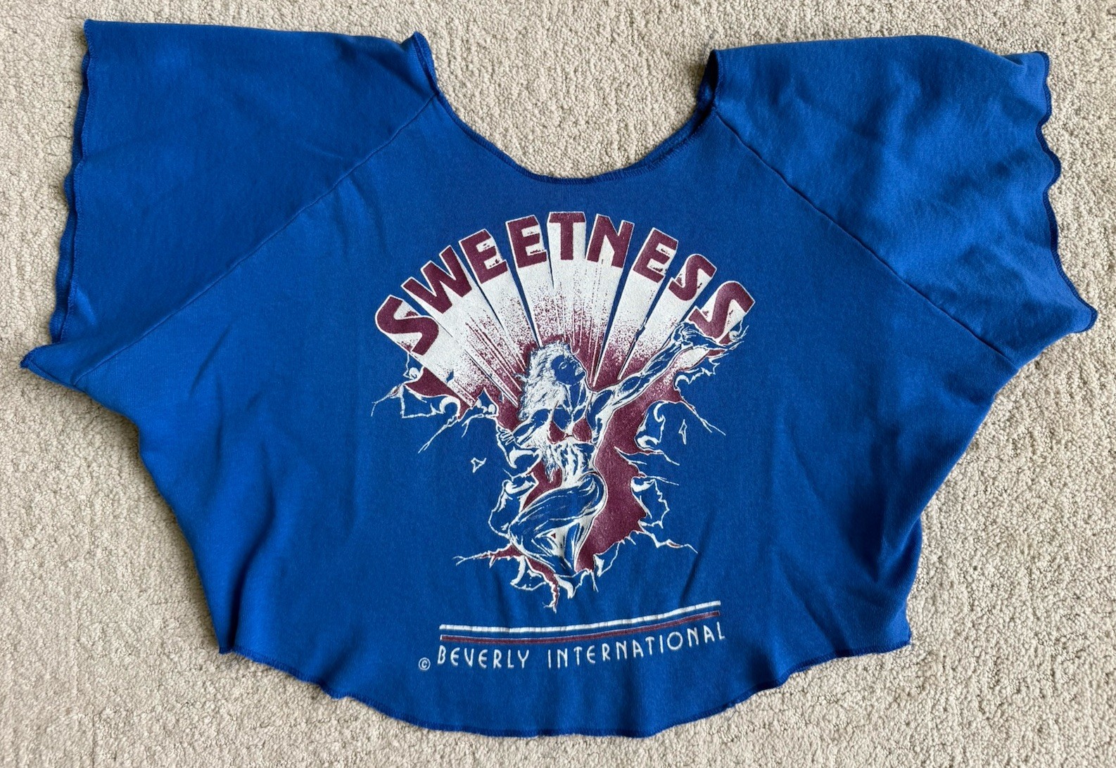 Vtg 90s Women’s Gym Sweatshirt Muscle Bodybuilder Crop Top Sweetness Beverly Int
