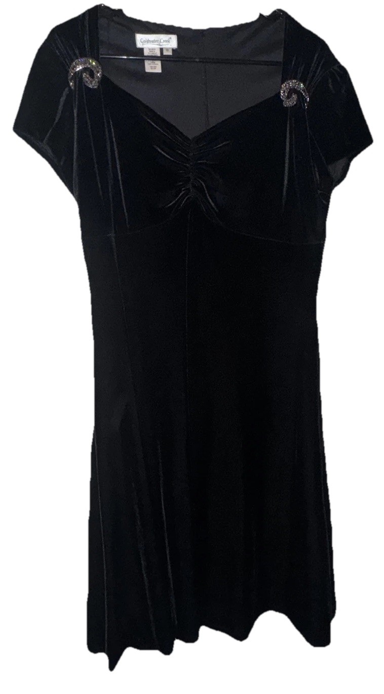 ColdWater Creek Velvet Midi Dress 2 Rhinestone Broaches Whimsy Goth Women’s 10