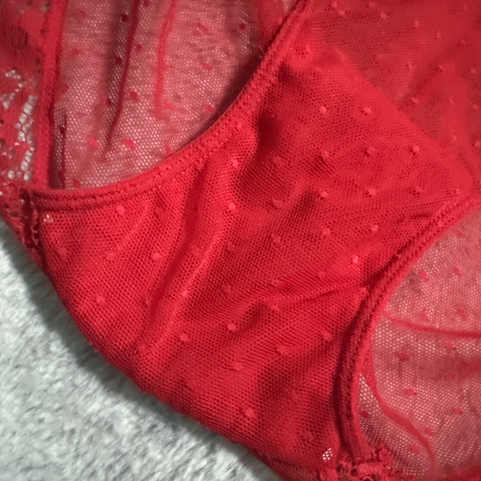 VINTAGE SHEER Lace MESH PANTIES Size M/L Bow