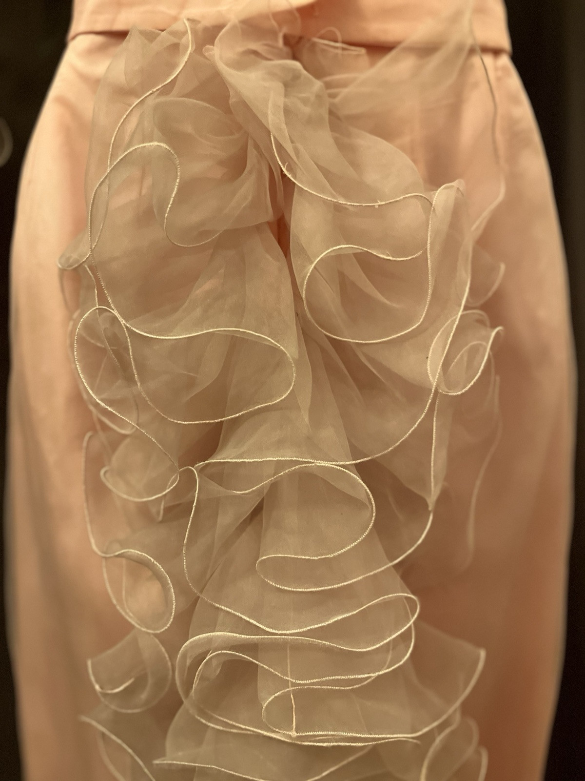 VTG Princess Baby Pink Gauzy Organza Bustle Ruffle Edwardian Formal Prom Dress S
