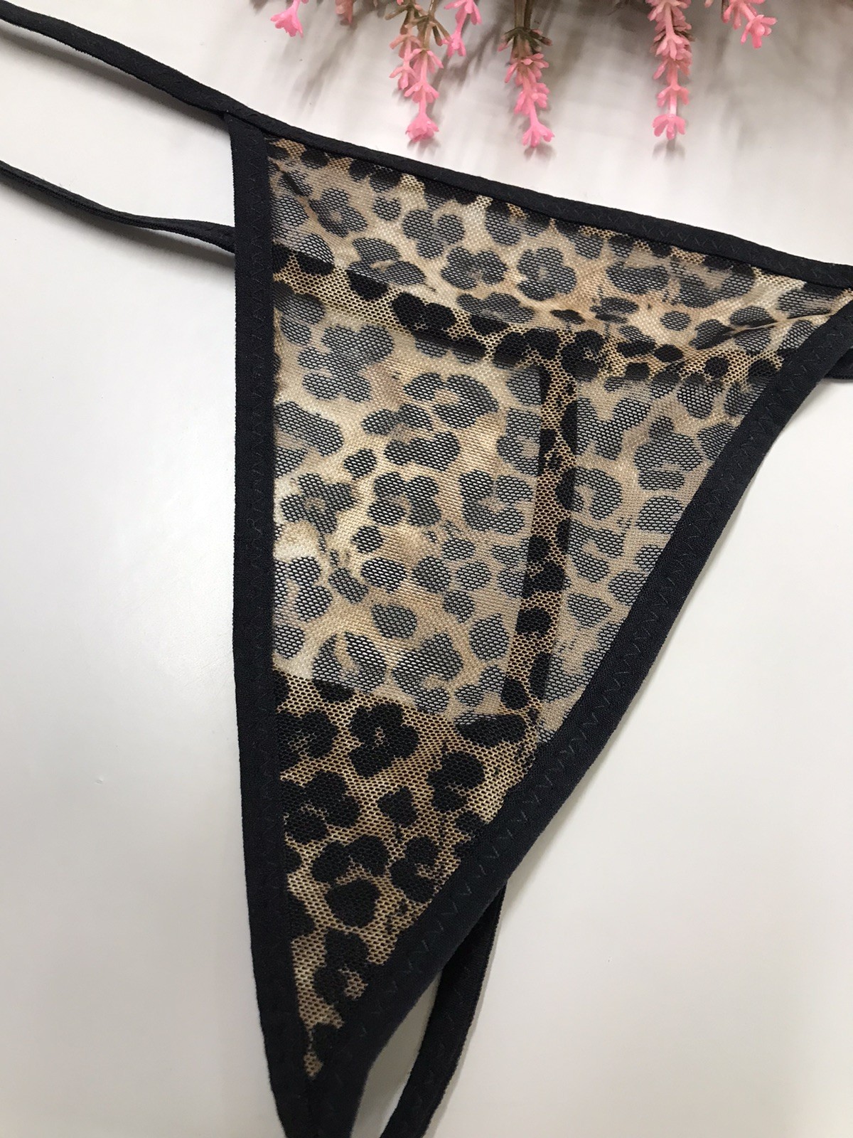 Women’s Animal Print V-String Bikini Large Cheetah Animal Print Multicolor