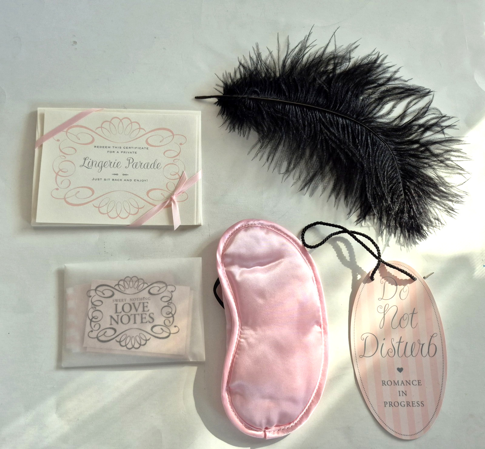Victorias Secret Sexy Valentines Day Kit Pink Mask Feather Love Notes RARE NEW