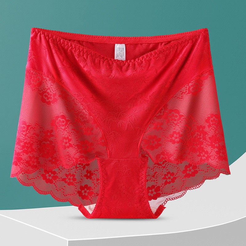 2X Ladies Sexy High Waist Full Lace Brief Knickers Women Underwear Size L-3XL