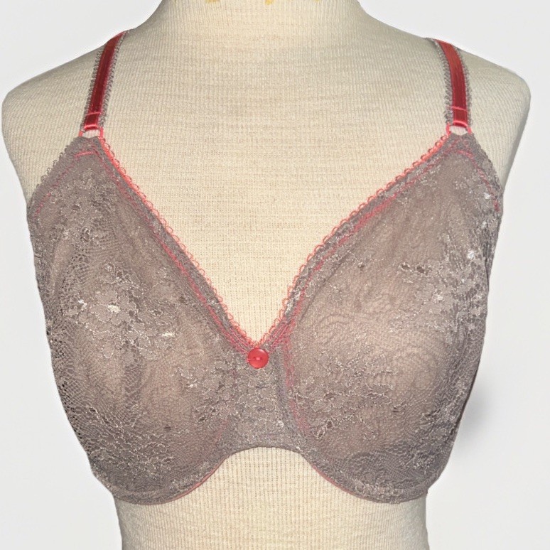 Vintage Whimsey Bra 34DD Brown Coral Nylon & Spandex Lace Underwired