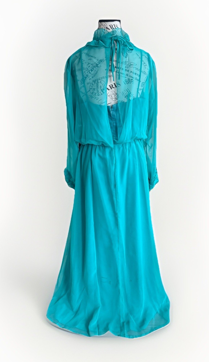 Vintage 70s House Of Bianchi Sheer Chiffon Edwardian Prairie Cottage Maxi Dress