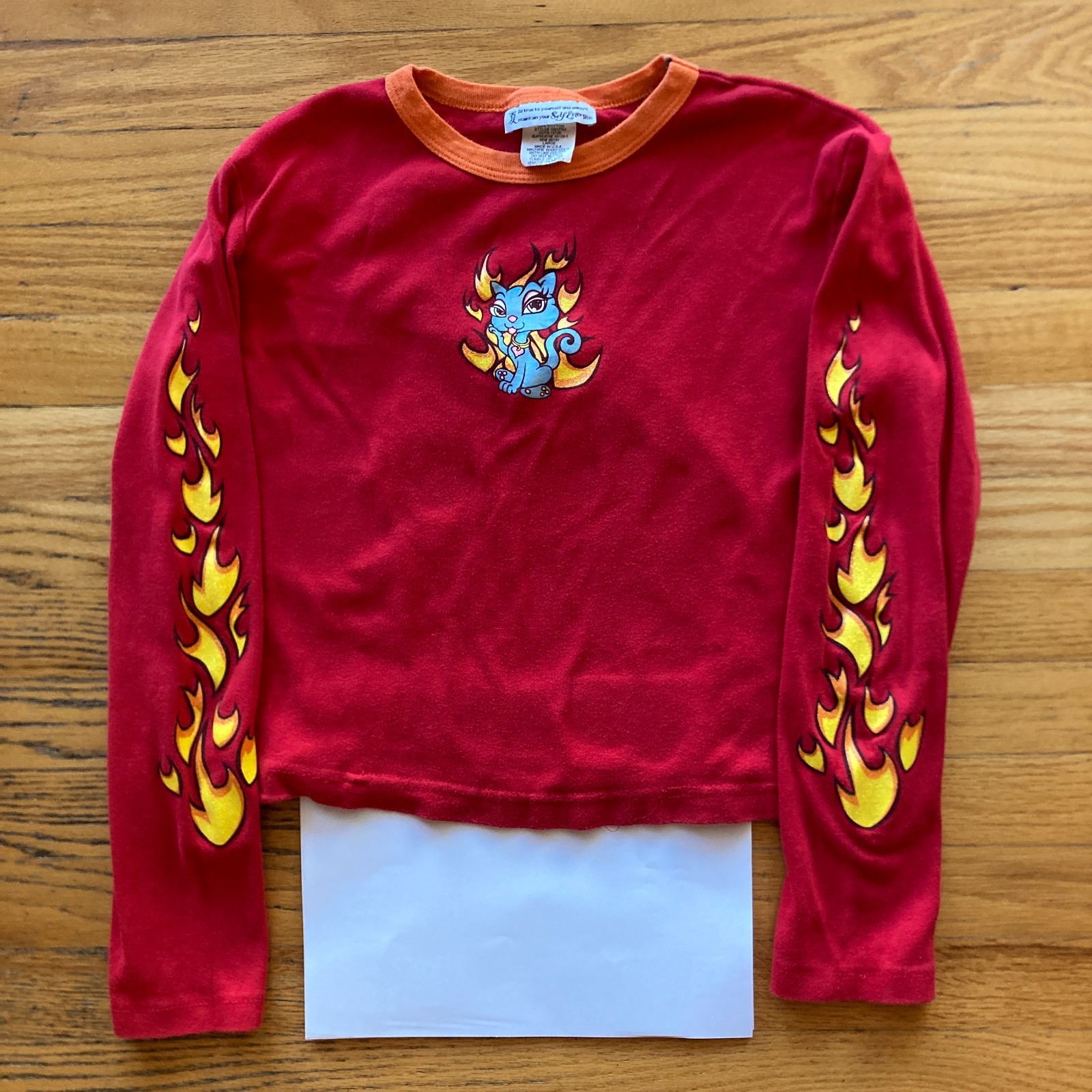 VINTAGE 1990s/Y2K SELF ESTEEM KITTEN FLAMES BABY DOLL SHIRT vtg crop flaming cat